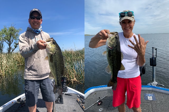 email_fishing